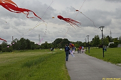 Venice kite festival_0368